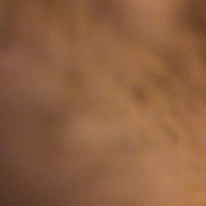 Meet your Posher, Faith